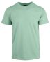 Classic t-shirt organic Grøn