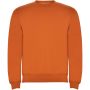 Clasica sweater med rund hals til børn Orange