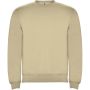 Clasica unisex sweater med rund hals Beige