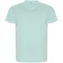 Golden kortærmet t-shirt til mænd Mintgrøn