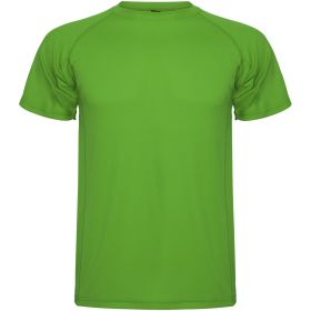 Montecarlo kortærmet sport t-shirt til mænd Bregne grøn