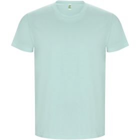 Golden kortærmet t-shirt til mænd Mintgrøn