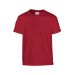 HEAVY YOUTH T-SHIRT 5000B Cardinal Red