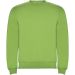 Clasica sweater med rund hals til børn Oasis Green