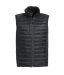 Hudson Vest 