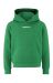 Community 2.0 Logo Hoodie Jr Team Green