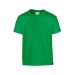 HEAVY YOUTH T-SHIRT 5000B Irish Green