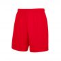 PERFORMANCE SHORT 64-042-0 red